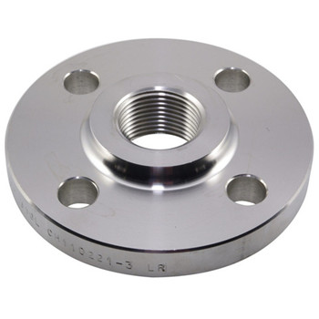 Hot Sale Stainless Steel Forged Weld Neck Flange (YZF-E297) 